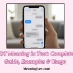 IDT Meaning in Text