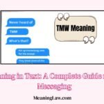 TMW Meaning in Text