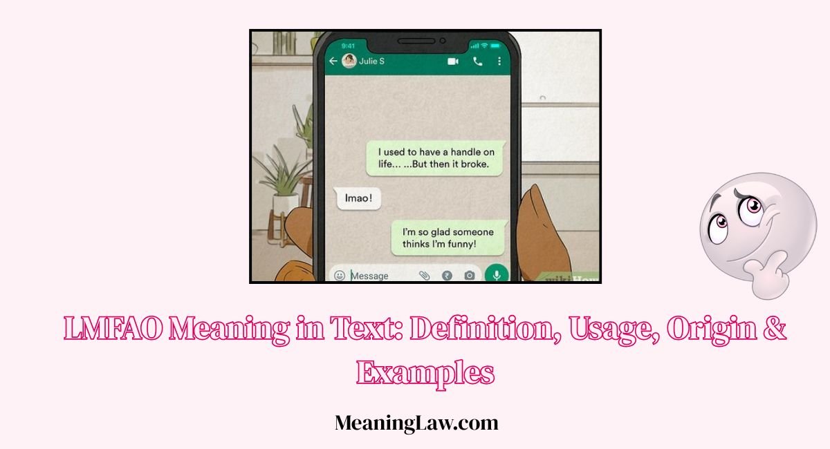 LMFAO Meaning in Text