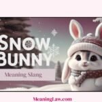 Snowbunny Meaning Slang