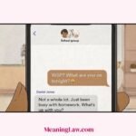 WSP Meaning in Text