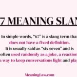 67 Meaning Slang