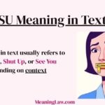 SU Meaning in Text