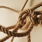 Shibari Meaning