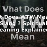 What Does WTW Mean In Slang ? Spiritual Meaning Explained?
